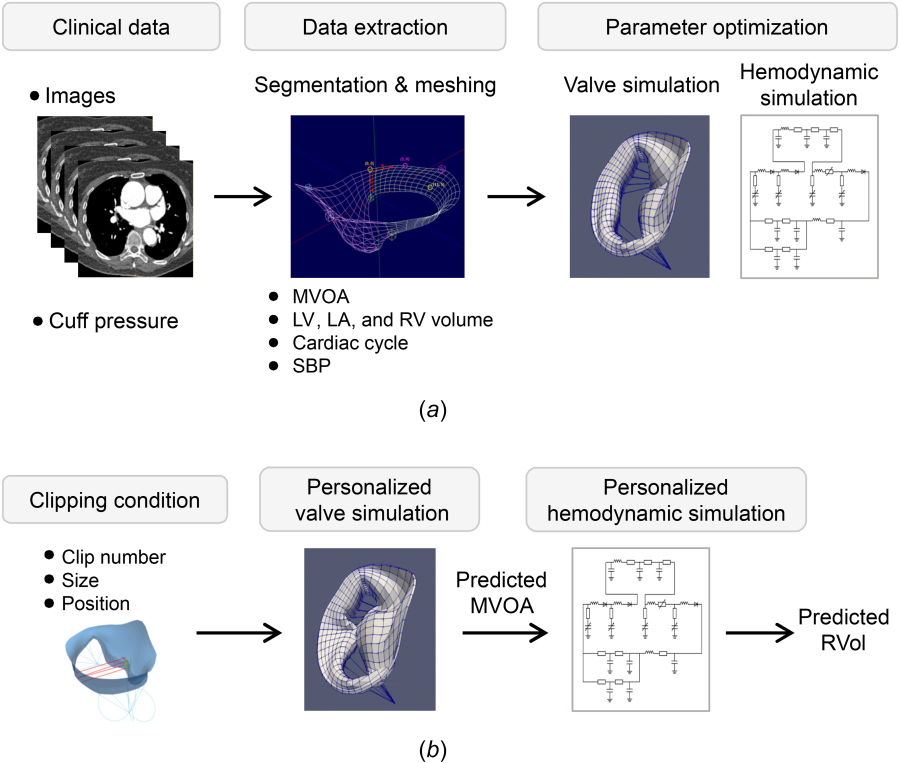 In Silico Model for Edge-to-Edge Repair